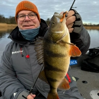 Westin Odonata NED Creaturebaits 6.5cm